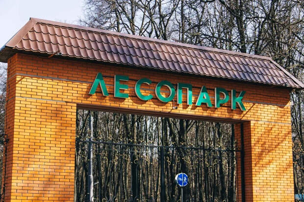 Администрация Лесопарка предупредила рязанцев об опасности пребывания