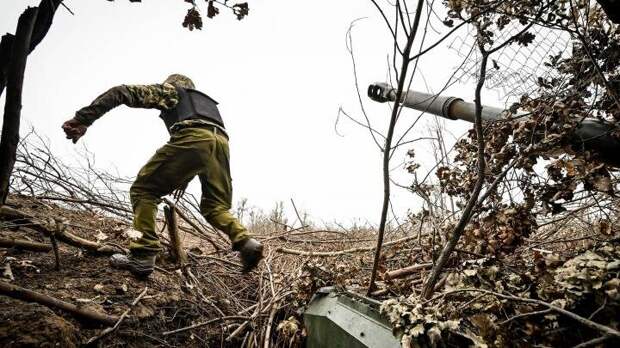 Фото: globallookpress.com/Dmytro Smoliyenko