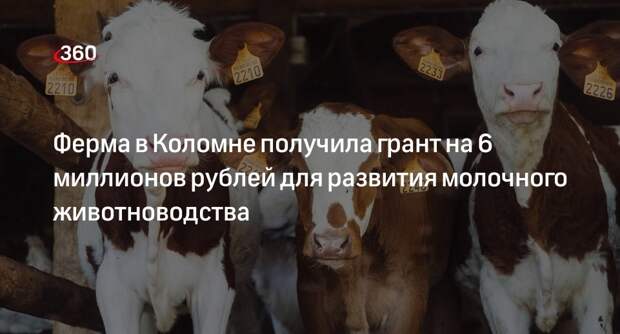 Ферма в Коломне получила грант на 6 миллионов рублей для развития молочного животноводства