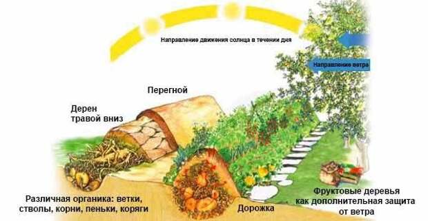 Как сделать высокие грядки: 100 полезных идей