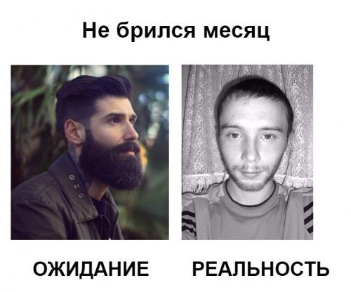 Ожидания и реальность