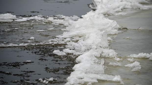 Житель Иванова утонул при попытке спасти провалившуюся под лед собаку