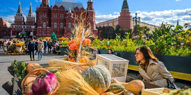 Собянин пригласил москвичей на фестиваль «Золотая осень». Фото: mos.ru