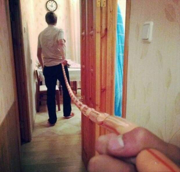 Весёлые пародии на фотопроект "Следуй за мной" (15 фото)
