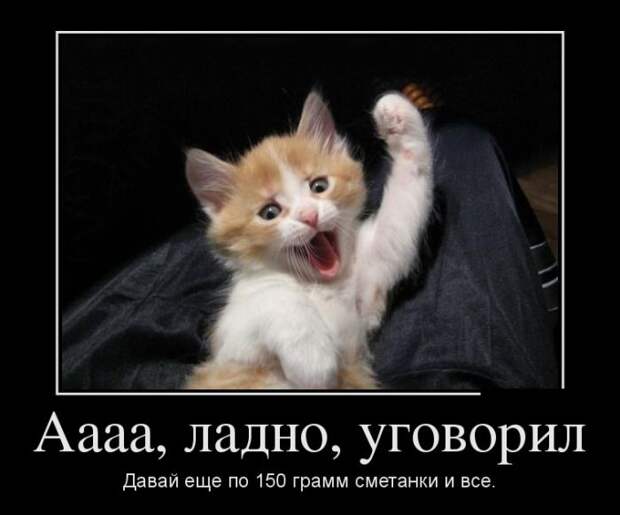 Демотиваторы (30 фото)