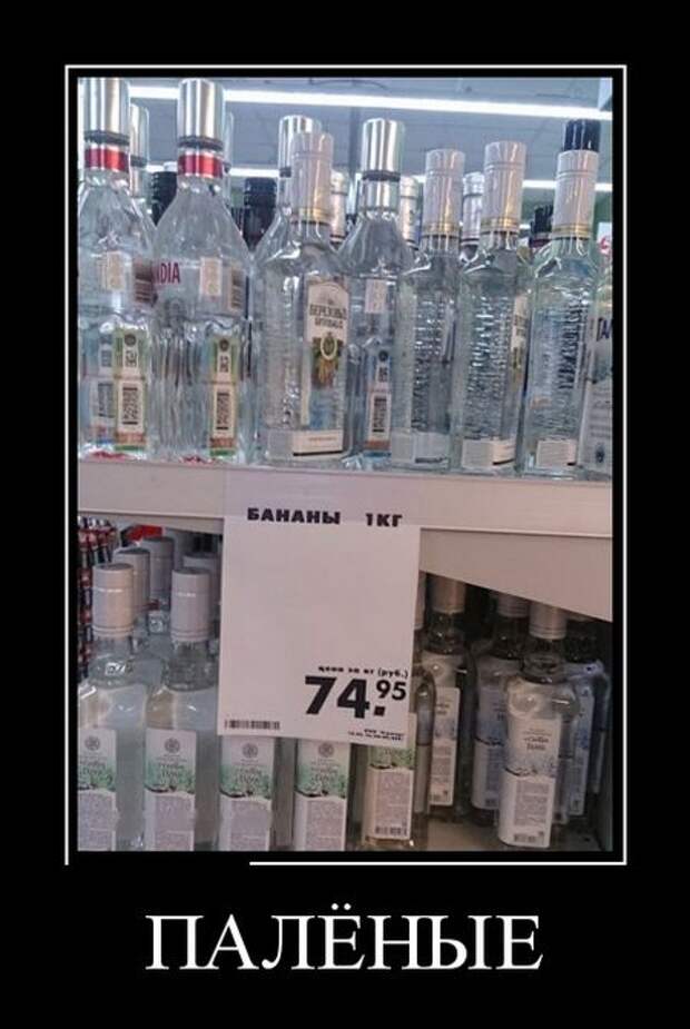 Демотиваторы Демотиваторы