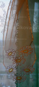 Ромашка белая