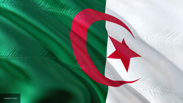 Президент Алжира подаст в отставку до 28 апреля