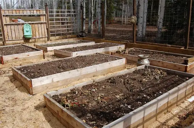 Высокая грядка Graf Ergo raised Bed 6 панелей