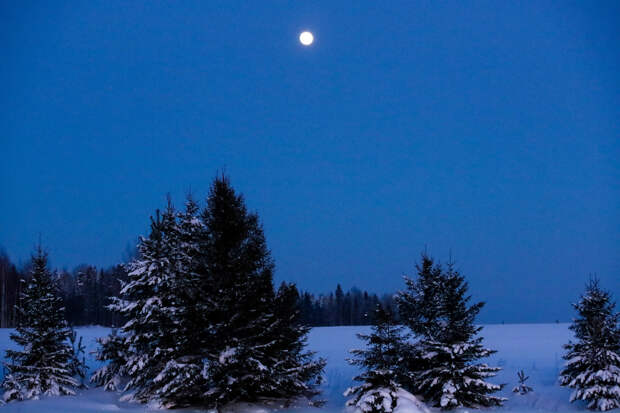Названы последствия атаки ВСУ на Чувашию