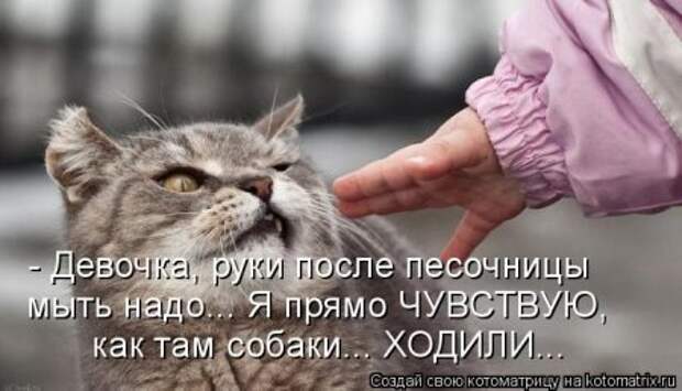 Котоматрица для ночных посетителей Поржать.ру