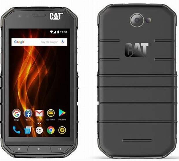 Cat S31 и Cat S41 