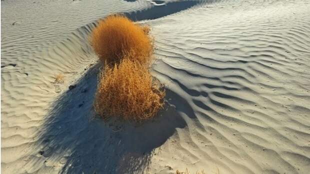 Привет из Африки: в Крыму прошел «песчаный» дождь