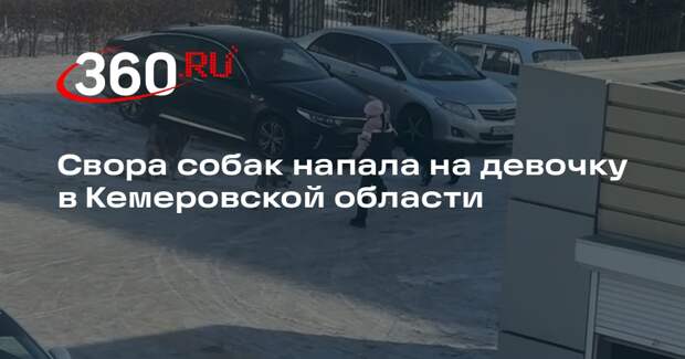Свора собак напала на девочку в Кемеровской области