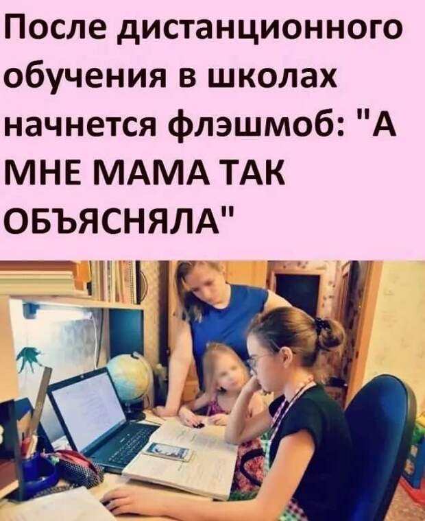 Обучение смешные картинки