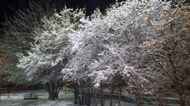 Воздух в Тульской области прогреется до 9 градусов