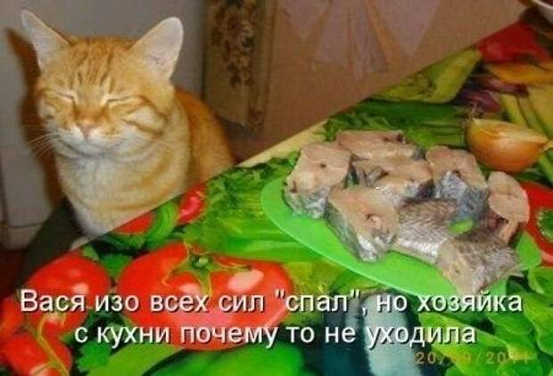 Подборка классных демотиваторов № 99