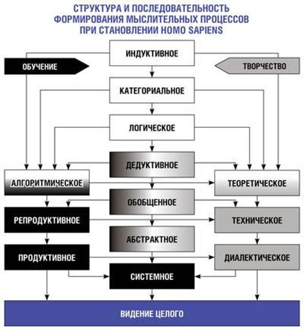 структура мышления. структурное мышление. строение мышления. структура мышления схема. строение мышления.