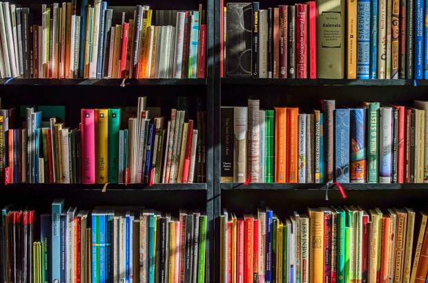 книги книгодарение пикча