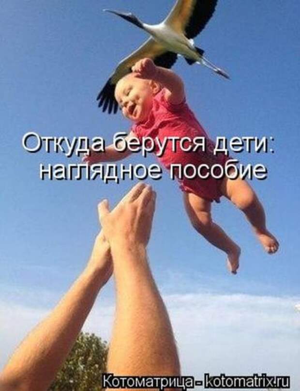 Без кота жизнь не та (50 фото)