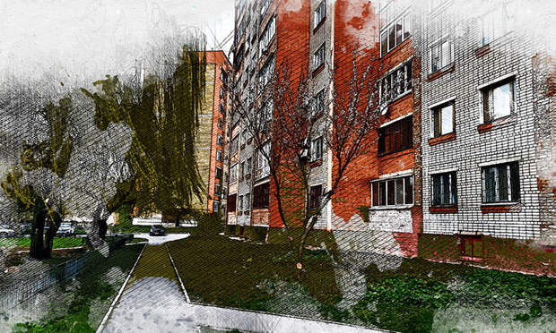 В Орле зацвели абрикосы