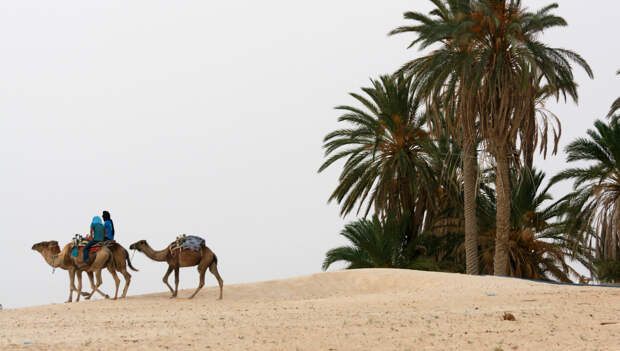 Дождь с песком из Сахары пройдёт в Челябинской области