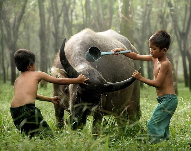 528369_10151446768829775_1790894840_n