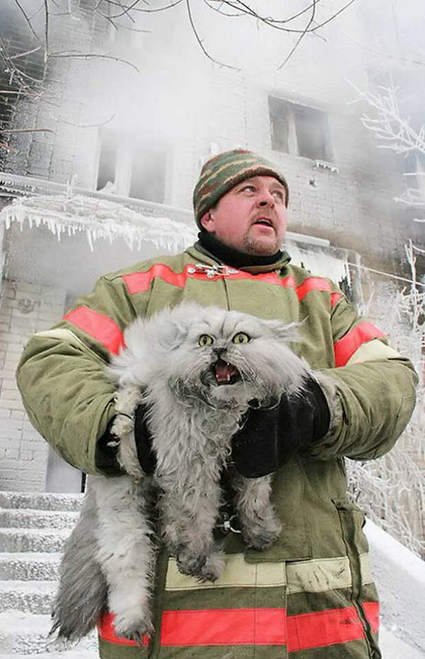 4. Русский пожарный спасает кота животные, пожарные, пожары