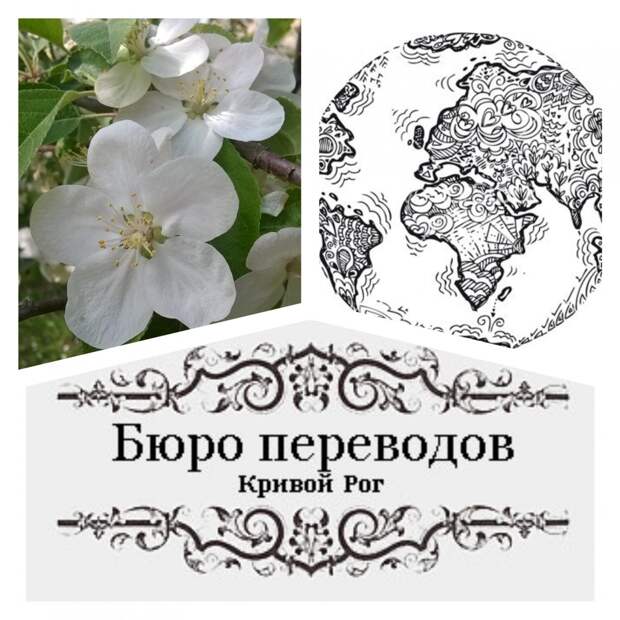 письменные переводы