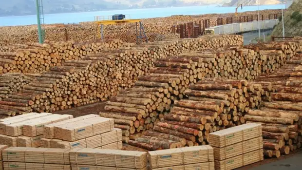 Сохранение деревянного