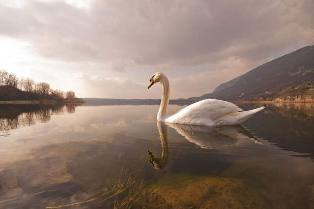 Лучшие фотографии National Geographic апреля 2014