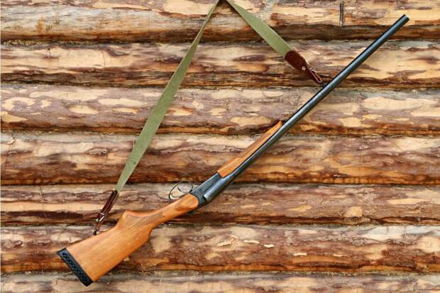 Женщина прострелила из ружья голову своей собаки в Ленобласти