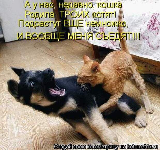Мысли вслух :)