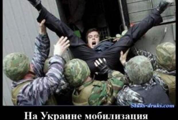 Родина требует свежего фарша и баста!