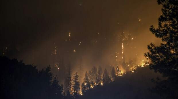 Введен запрет на посещение лесов в Самарской области до 20 июня из-за высокого риска возникновения лесных пожаров