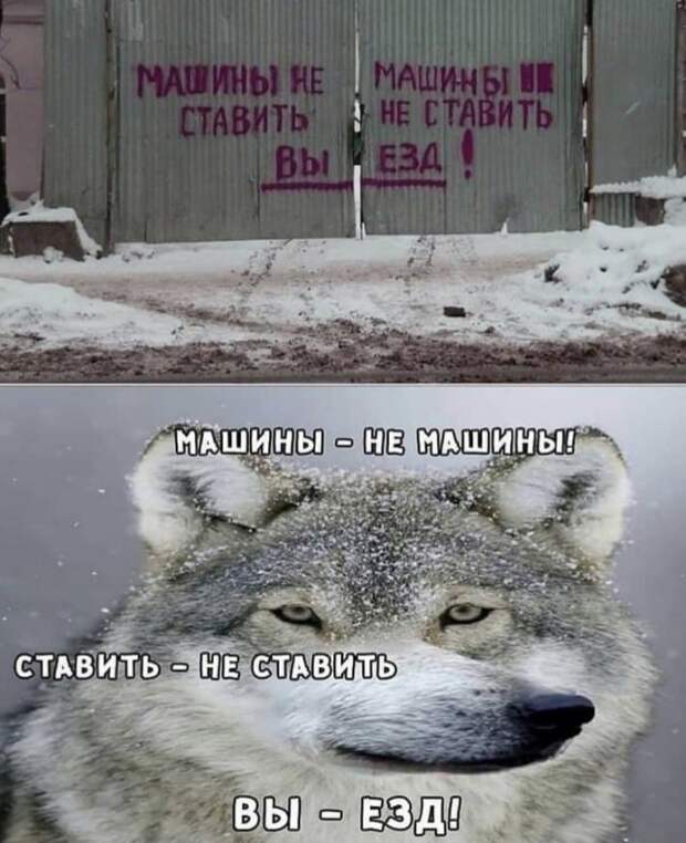 Забавные шутки и мемы из Сети