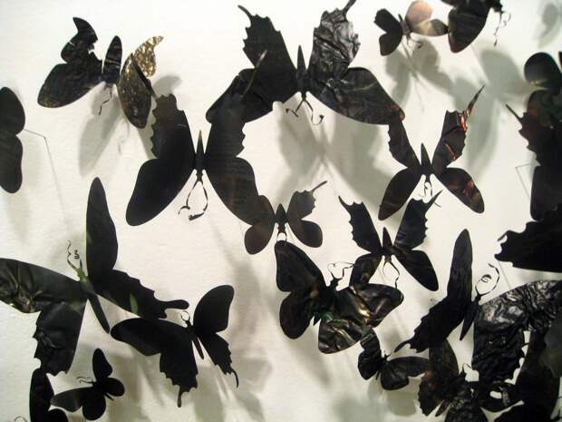 butterflies10 Бабочки как искусство