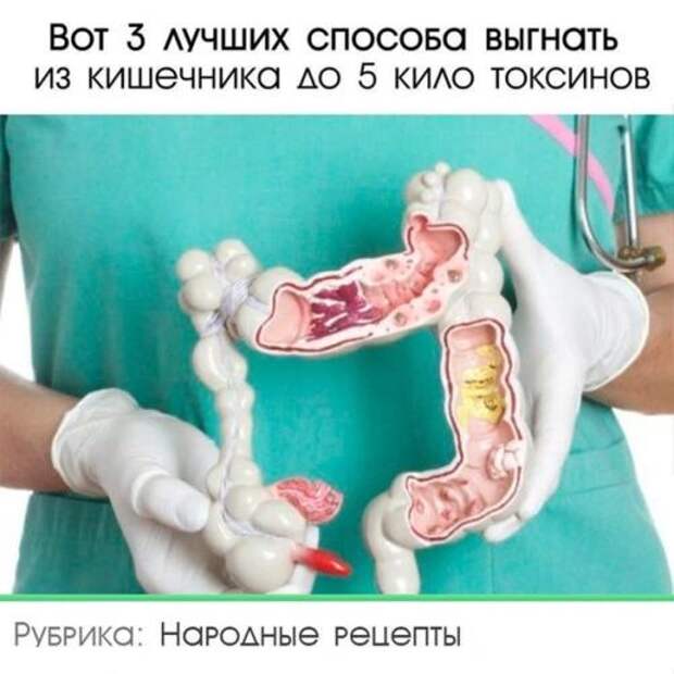 Вот 3 лучших способа выгнать из кишечника до 5 кило токсинов. Вот 3 лучших способа выгнать из кишечника до 5 кило токсинов.