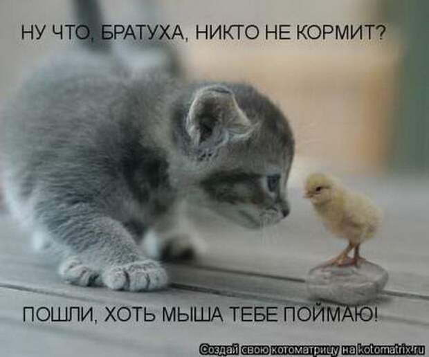 Мысли вслух :)