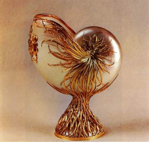 64673223_1285825885_23