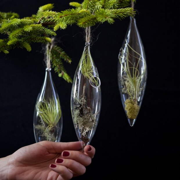 home-flowers-in-new-year-decorating4-5 (600x600, 78Kb)