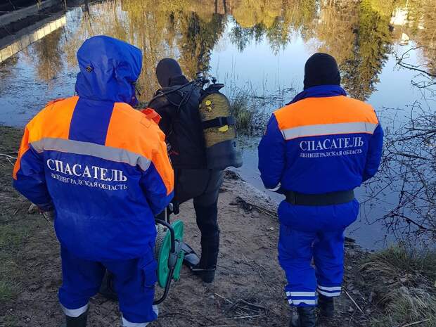 Škoda с убегавшими от погони подростками упала в реку в Ленобласти, двое погибли