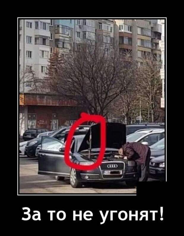 Демотиватор про авто