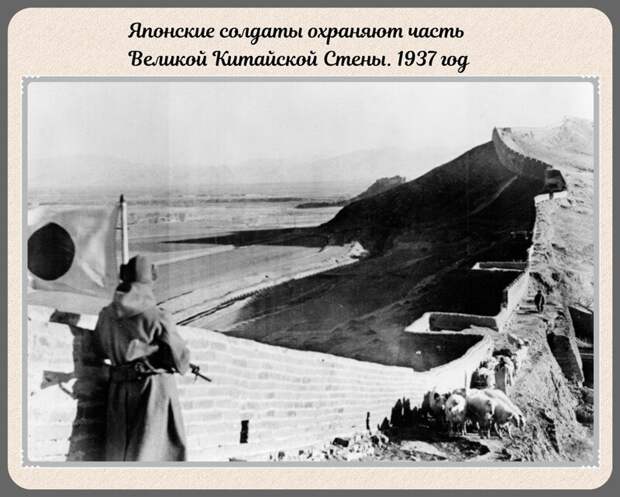 Фотографии прошлого, на которых история кажется ещё интересней