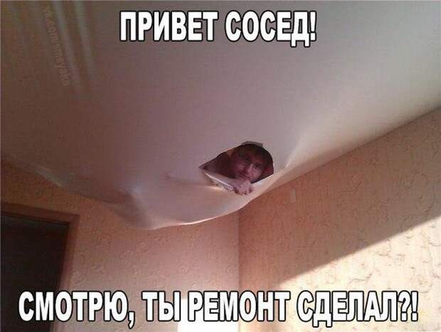 Прикольные картинки. Вечерний выпуск (53 фото)