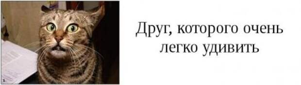 Такие друзья, есть у каждого из вас.