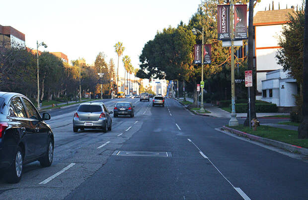 010 IMG_3970res