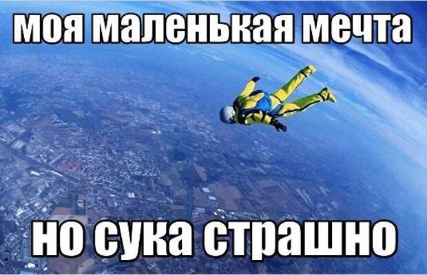 Смешные картинки с надписями прикол, юмор