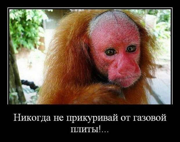 Всё в кучу 22
