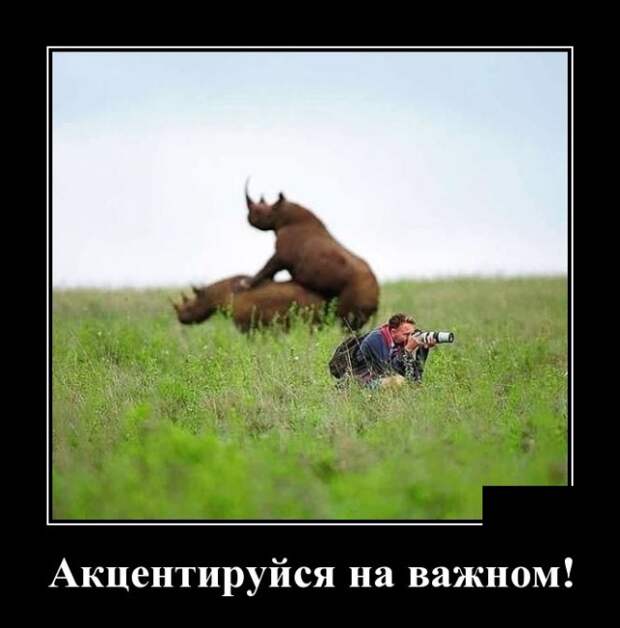 Демотиваторы (30 фото)